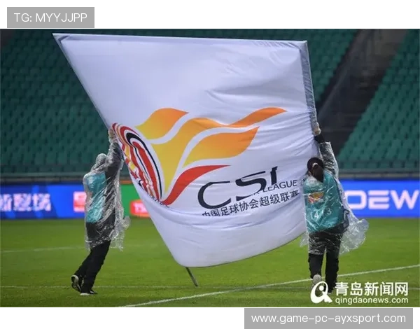 联赛将启动最严财政调查